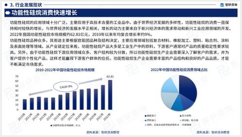 智研咨询重磅发布 中国功能性硅烷行业市场研究报告 2023版